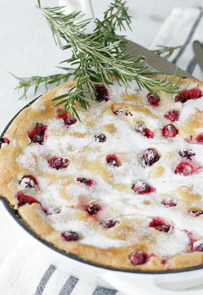 Sugared Cranberry Cake Foodtastic Mom