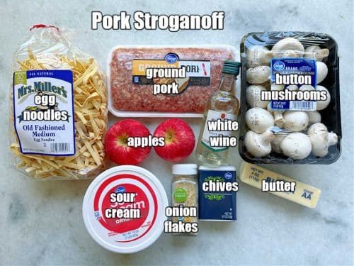 Pork Stroganoff Foodtastic Mom