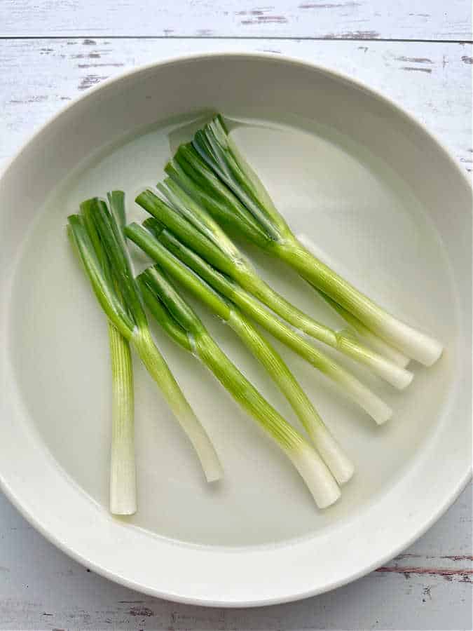 green onions soaking in cold water before being chopped